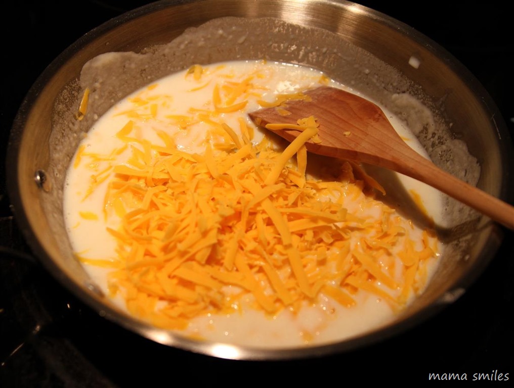 Cheese Sauce Recipe For Mac And Cheese